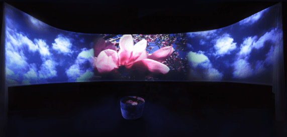 Screen Shot 2014-11-21 at 11.58.11