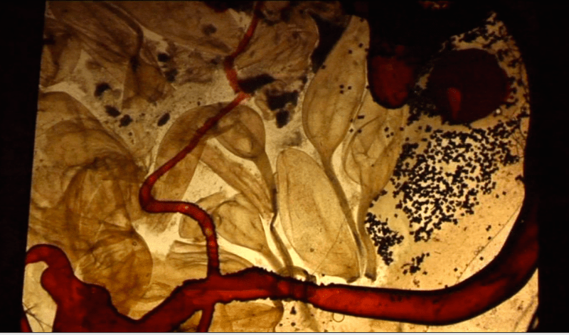 Screen Shot 2015-01-06 at 13.20.02